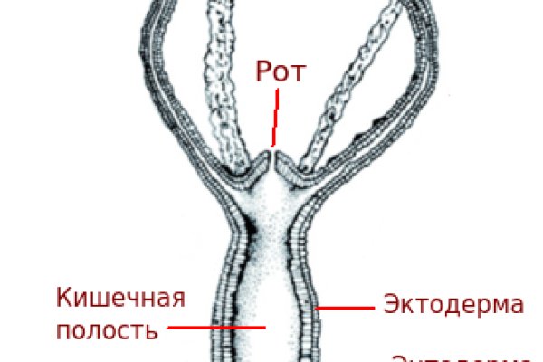 Mega зеркало рабочее